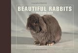 Beautiful Rabbits Postcard Book