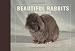 Beautiful Rabbits Postcard Book
