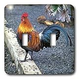 Farm Animals - Rooster - Light Switch Covers - double toggle switch