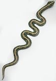Large Aboriginal Dot Painted Snake Wall Hanging Serpent