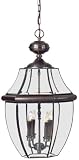 Newbury 26.5 inches tall outdoor hanging lamp in aged copper