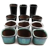 Happy Bonsai 12 Mini Glazed Pots