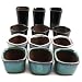 Happy Bonsai 12 Mini Glazed Pots