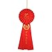 Hayes Specialties Corp. 2nd Place Rosette Ribbon