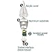 ELETA 10 Pack E12 LED Candelabra / Chandelier Bulbs, Daylight 6000 Kelvin, 3W Equivalent to 25W, 250 Lumens, Non-Dimmable, Silver Color Shell, Flame Shape