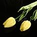 FLOWER Wholesale Tulip Latex Real Touch for Wedding Bouquet KC456 (Yellow, 10pcs)