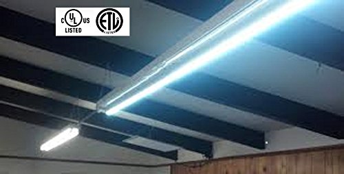 8 Foot, LED Replacement Bulb for Fluorescent Fixtures – neiLite® Brand