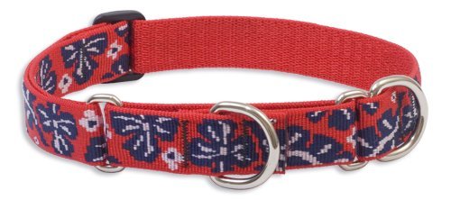 Lupine Large Martingale Style Dog Collar - Wave Hound 19-27