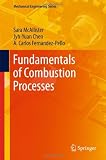 Fundamentals of Combustion Processes (Mechanical Engineering Series)