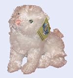 Kookeys Persian Cat