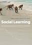 Social Learning: An Introduction to Mechanisms, Methods, and Models