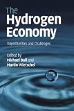 The Hydrogen Economy: Opportunities and Challenges