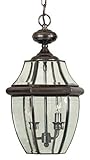 Quoizel NY1178AC Newbury 2-Light Outdoor Hanging Lantern, Aged Copper by Quoizel [並行輸入品]