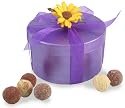 Hand Painted Box with 24 Mini Truffles