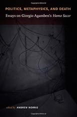 Politics, Metaphysics, and Death: Essays on Giorgio Agamben's Homo Sacer