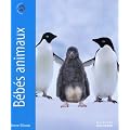 B�b�s animaux