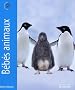 B�b�s animaux