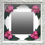 �s�C���e���A �~���[�tPlumeria Mirror Pink�i�v�������A�~���[/�s���N�j