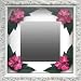 �s�C���e���A �~���[�tPlumeria Mirror Pink�i�v�������A�~���[/�s���N�j