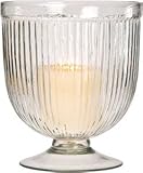 Medium Clear Glass Fluted and Vase