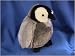 Plush Plumpee Baby Penguin 9