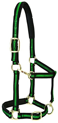 Weaver Leather 1" Small Horse/Weanling Draft Padded Chin & Throat Snap Halter, Green, Adjustable
