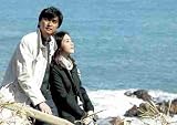Into the Storm (Korean Drama)