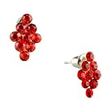 Diamond January Birthstone Earrings Crystal Stud 41Gh6lCVVNL. SL160 Diamond January Birthstone Earrings Crystal Stud