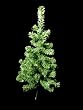 2' Table Top Artificial Christmas Tree - Unlit