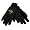 Jacksonville Jaguars