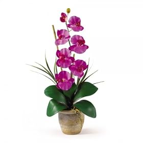 Orchid Triple Stem Phalaenopsis Silk Orchid Arrangement