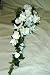 Wedding Bouquet- cascade