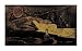 Exalted Night by Paul Gauguin. Size 29.81 inches width by 16.92 inches height. High Q...