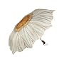 Galleria White Daisy Folding Umbrella