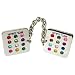 Stones of the Hoshen Jewish Tallit (Tallis) Clip Set