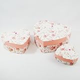 DressyRosseta@n[gy[p[{bNX3ZbgisNj