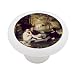 Picnic by Manet Decorative High Gloss Ceramic Drawer Knob