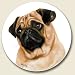 Pug Coaster, Single Coaster for Your Car