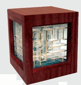 41Gj8aAGuZL Deluxe Wooden Money Maze