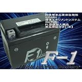 YTX4L-BS