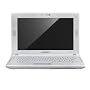 Samsung N120 10.1-inch Netbook (Intel Atom N270 1.6 GHz, 1 GB RAM, 160 GB HDD, Windows XP Home, White)