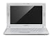 Samsung N120 10.1-inch Netbook (Intel Atom N270 1.6 GHz, 1 GB RAM, 160 GB HDD, Windows XP Home, White)