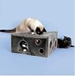 Cat House - Swiss Cheese Chalet Kitty Playhouse - Gray Cheese Wedge
