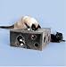 Pet Supplies : Cat House - Swiss Cheese Chalet Kitty Playhouse - Gray Cheese Wedge