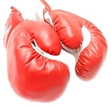 New 1 Pair of Youth RED 10oz Boxing Gloves For Kids New 1 Pair of Youth RED 10oz Boxing Gloves For Kids