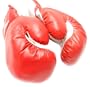 1 Pair Red 18oz Boxing Gloves New Punching Gloves