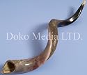 Hugh Yamanite Jewish Shofar