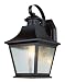 Trans Globe Lighting 4871 ROB 11-Inch 1-Light Outdoor Small Wall Lantern, Rubbed Oil Bronze