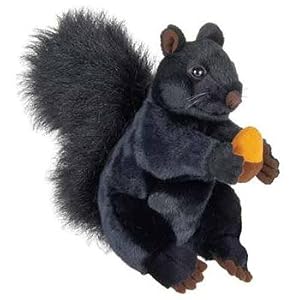 Squirrel with acorn