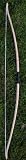 Rough and Ready Recurve Bow - 40-45 lbs. at 28 in.